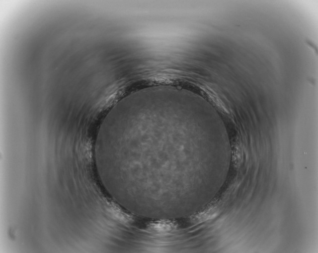 X0000095110466200712141156