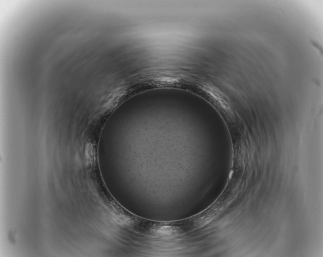 X0000095110467200712141156