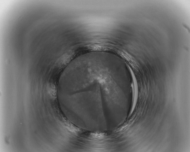 X0000095110469200712141156