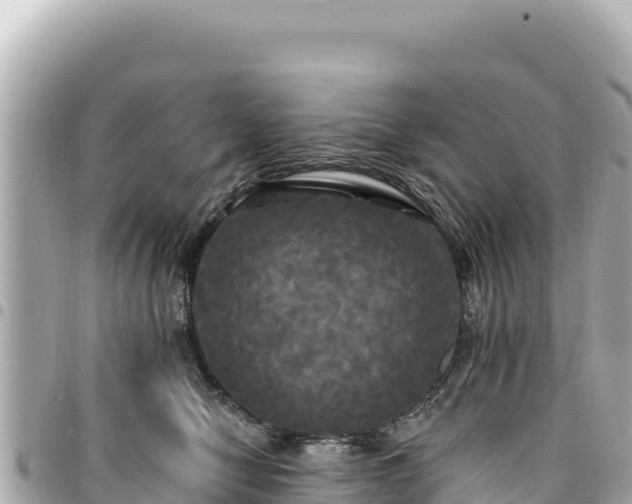 X0000095110470200712141156