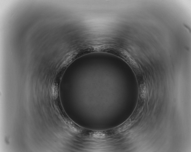 X0000095110471200712141156