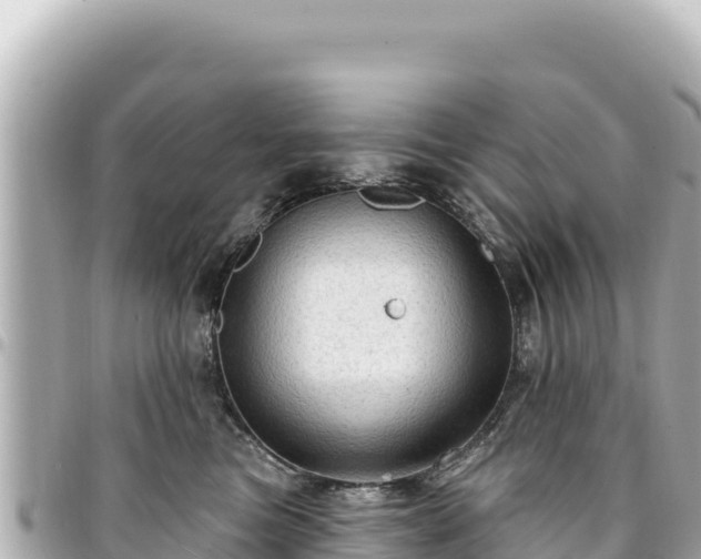 X0000095110473200712141156