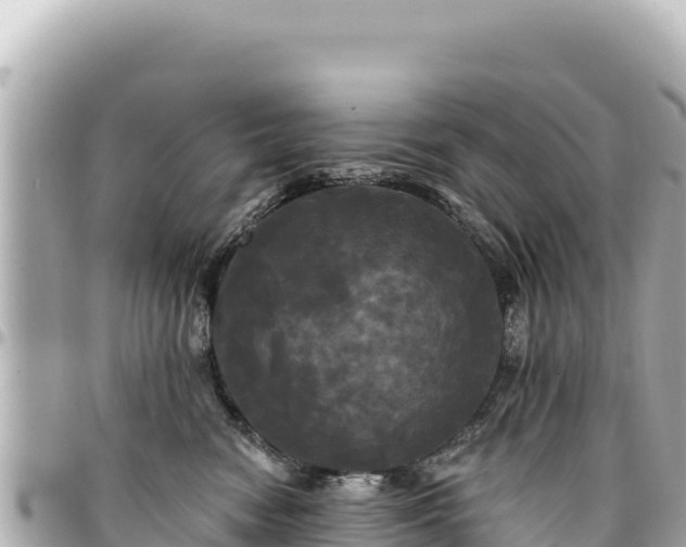 X0000095110474200712141156