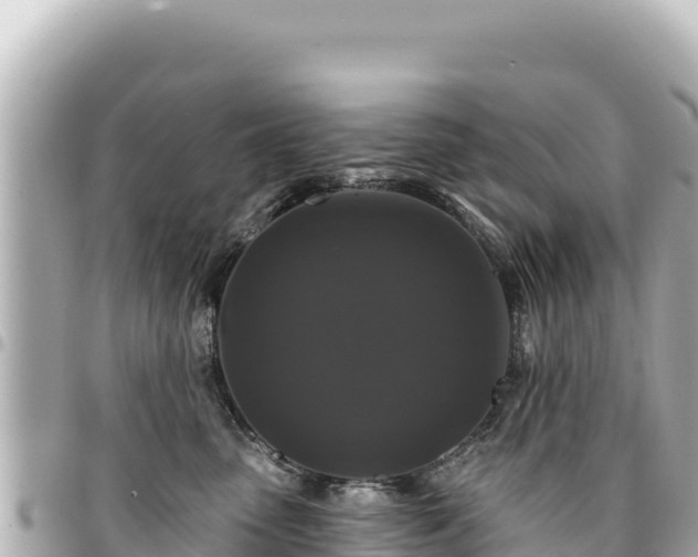 X0000095110475200712141156