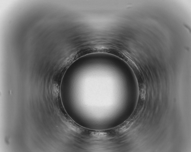 X0000095110476200712141156