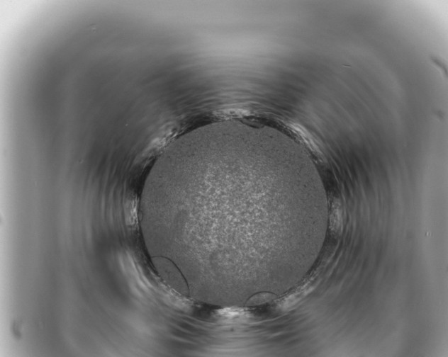 X0000095110477200712141156