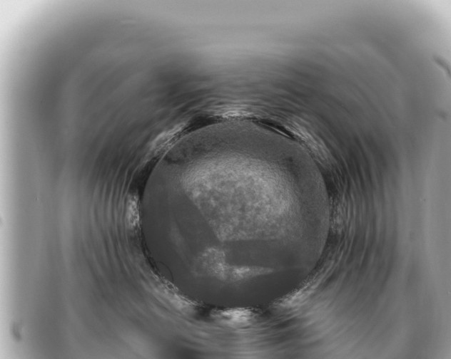 X0000095110478200712141156