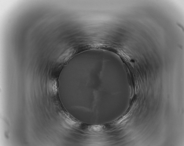 X0000095110479200712141156