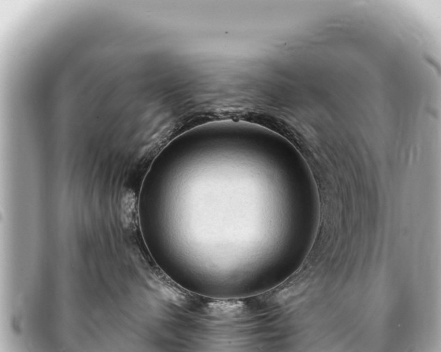 X0000095110480200712141156