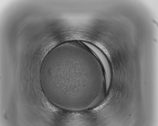 X0000095110481200712141155