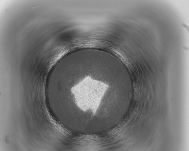 X0000095110482200712141155