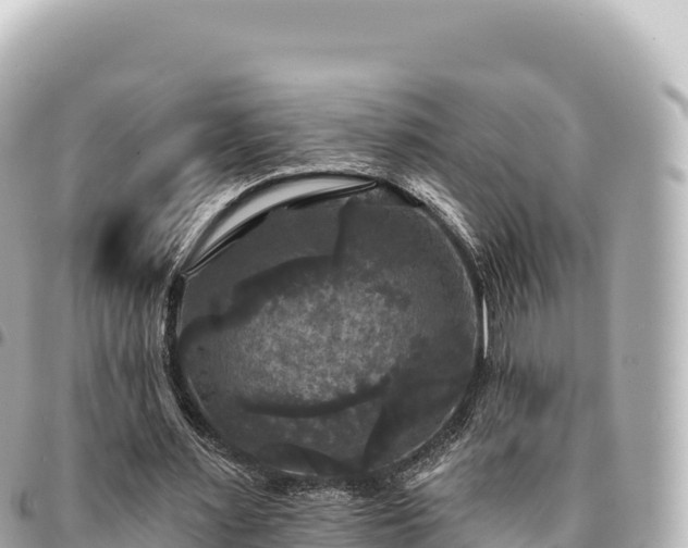 X0000095110483200712141155