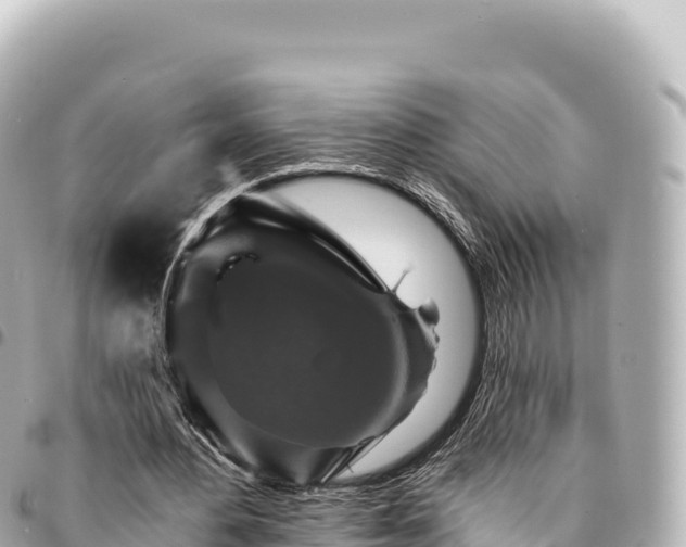 X0000095110484200712141155