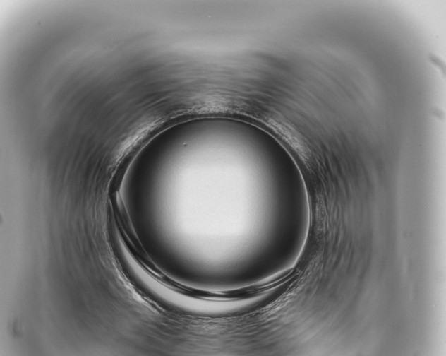 X0000095110485200712141155