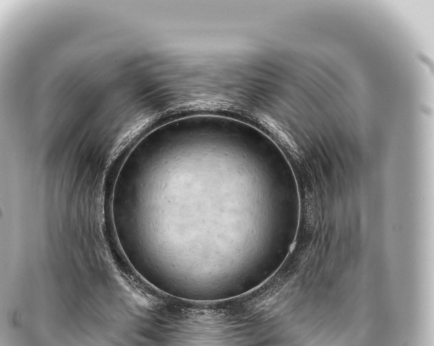 X0000095110486200712141155