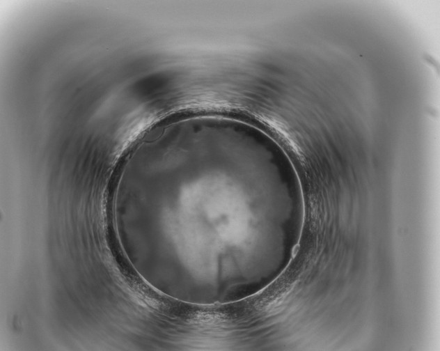 X0000095110487200712141155