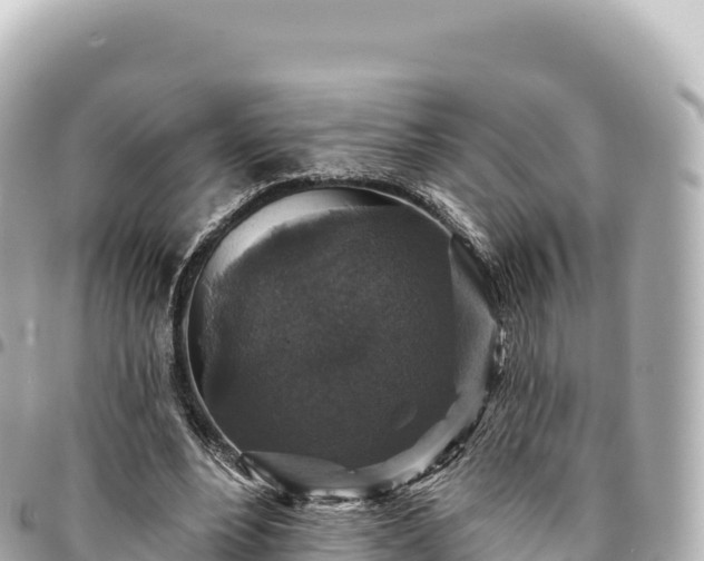 X0000095110488200712141155