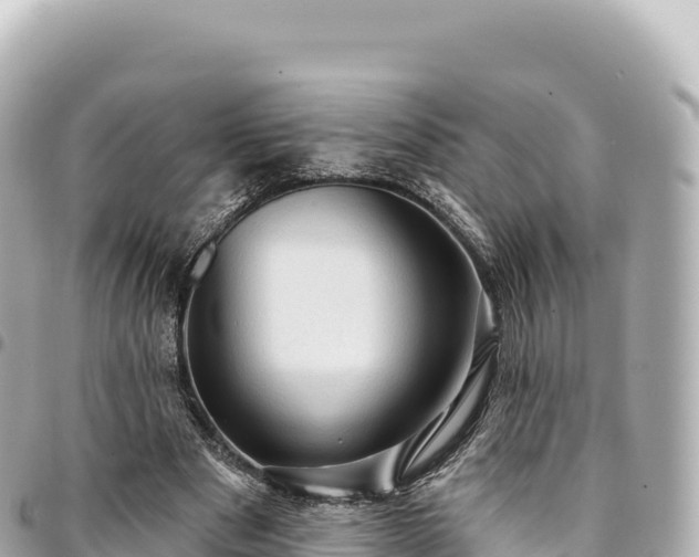 X0000095110489200712141155