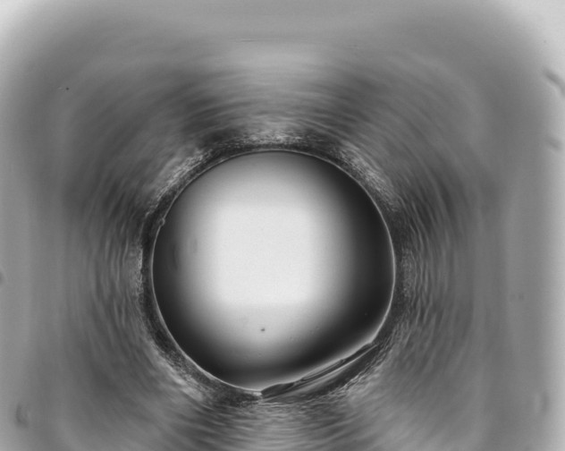 X0000095110490200712141155