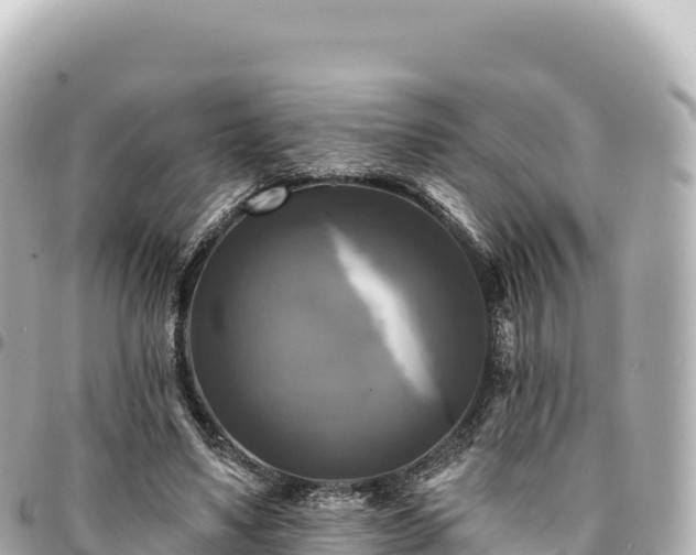 X0000095110491200712141155