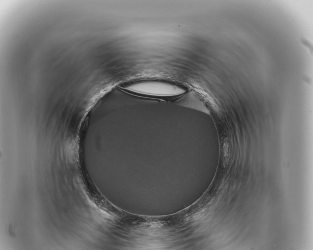 X0000095110492200712141155