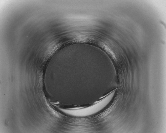 X0000095110493200712141155