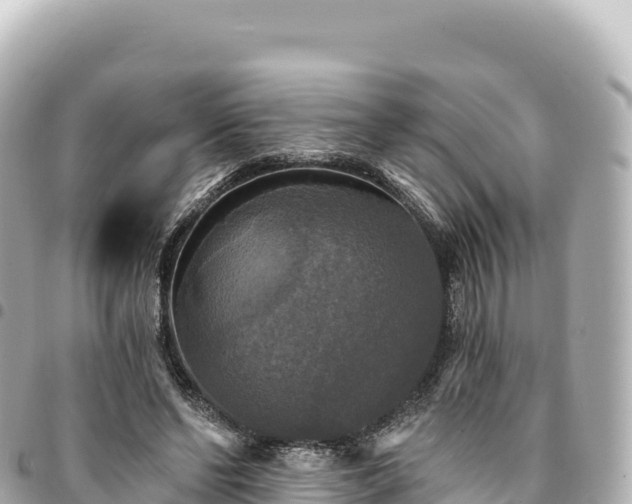 X0000095110494200712141155