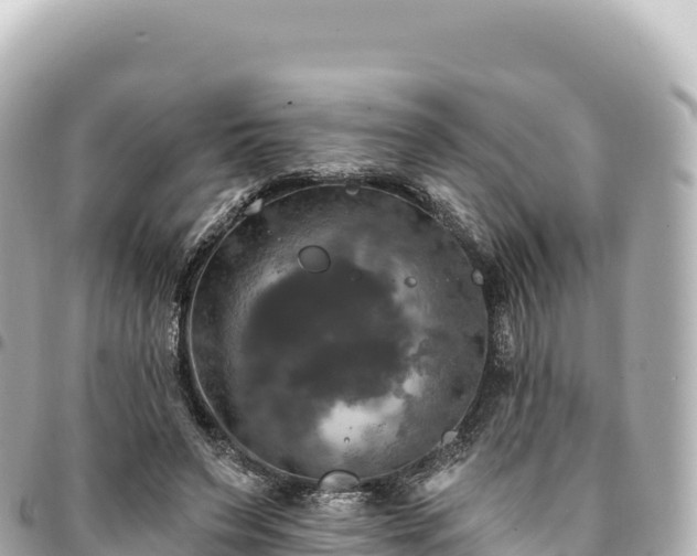 X0000095110495200712141155