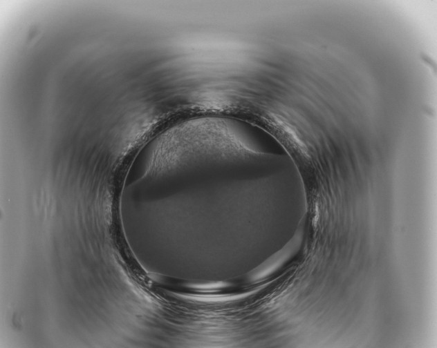 X0000095110496200712141155