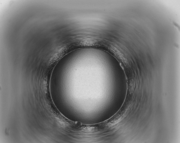 X0000095110497200712141155