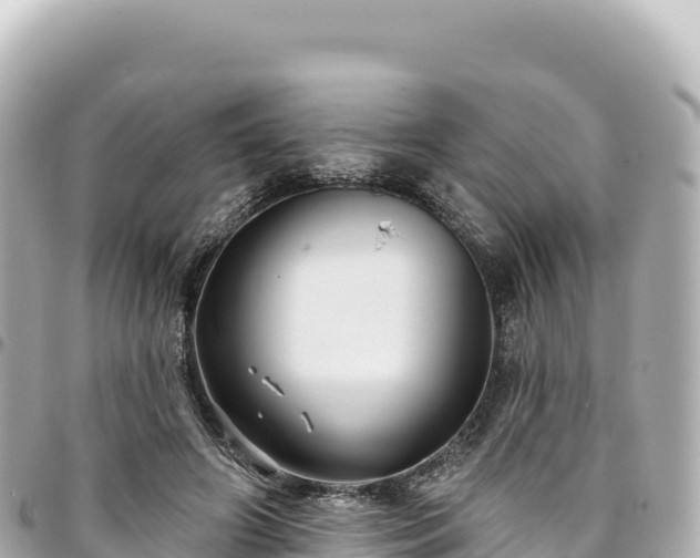 X0000095110498200712141155