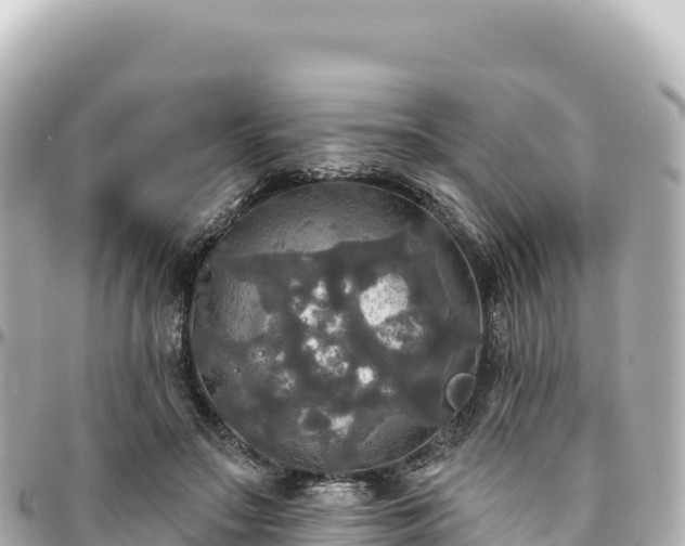 X0000095110499200712141155