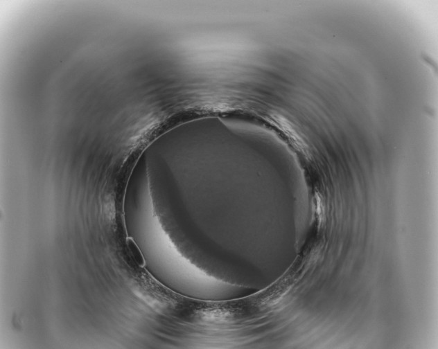 X0000095110500200712141155