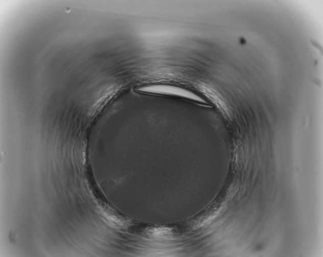 X0000095110501200712141155