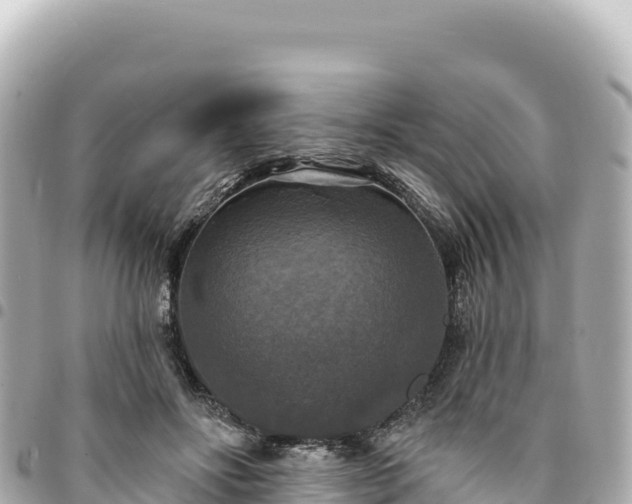 X0000095110502200712141155