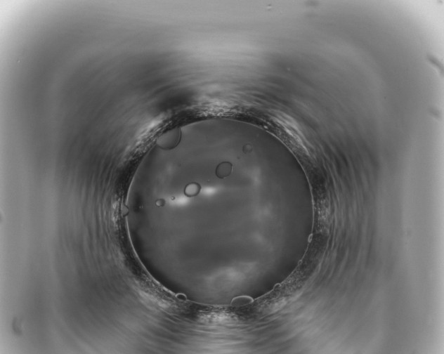 X0000095110503200712141155