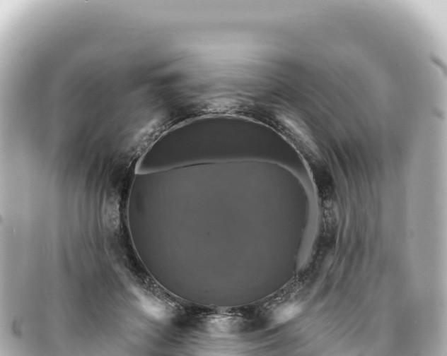 X0000095110504200712141155