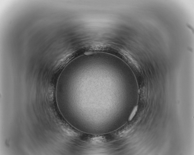 X0000095110505200712141155