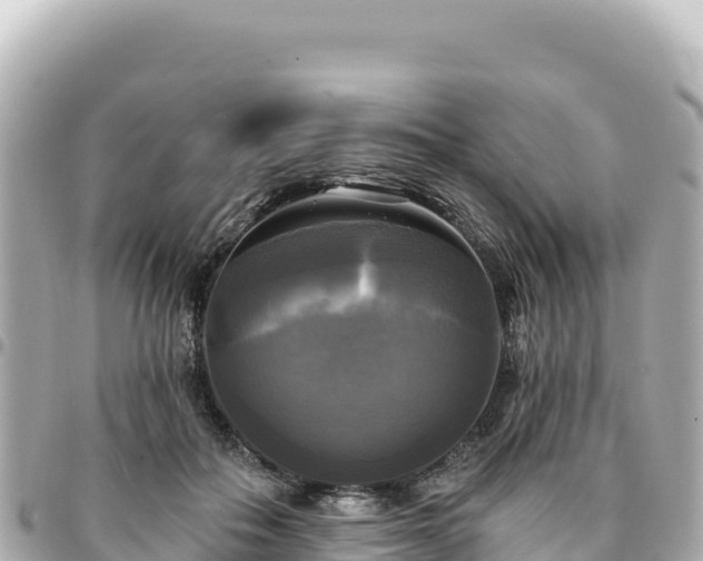 X0000095110506200712141155