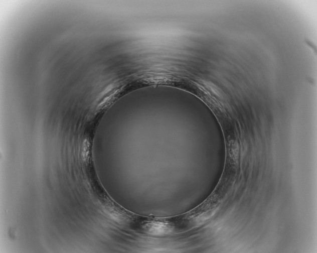 X0000095110507200712141155