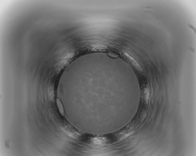 X0000095110508200712141155