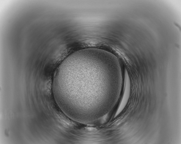 X0000095110509200712141155