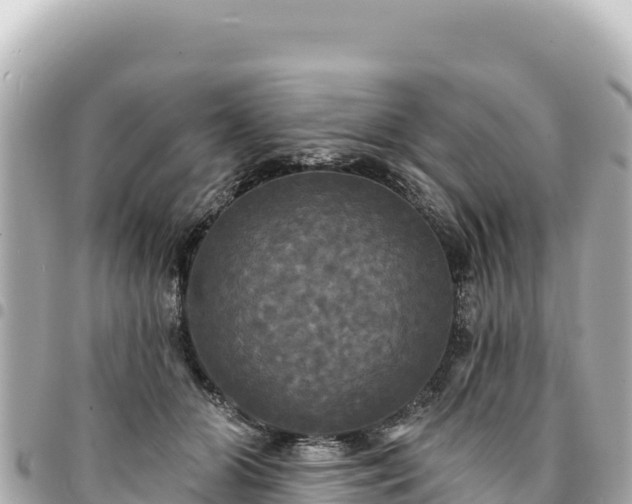 X0000095110510200712141155