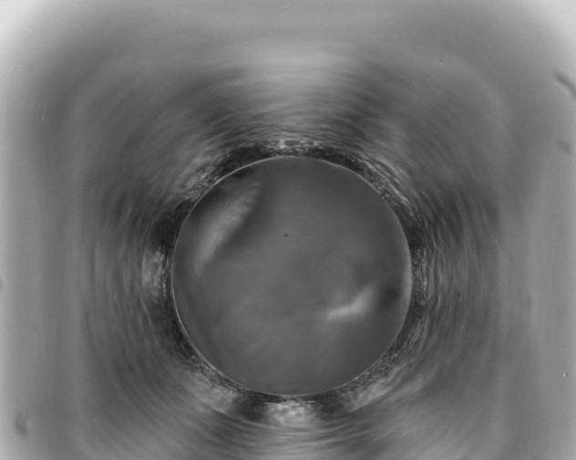 X0000095110511200712141155