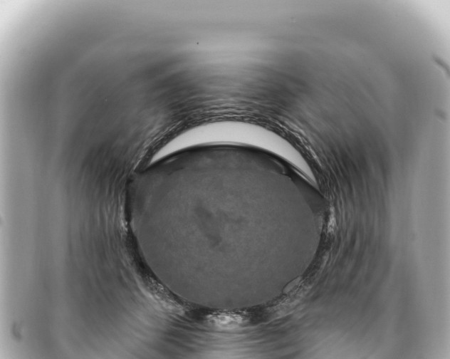 X0000095110512200712141155