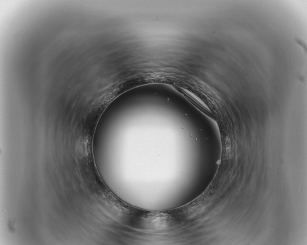 X0000095110514200712141155