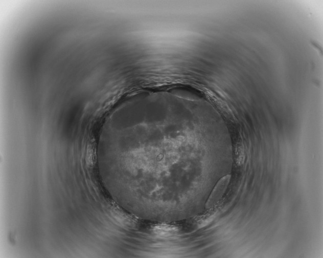 X0000095110515200712141155