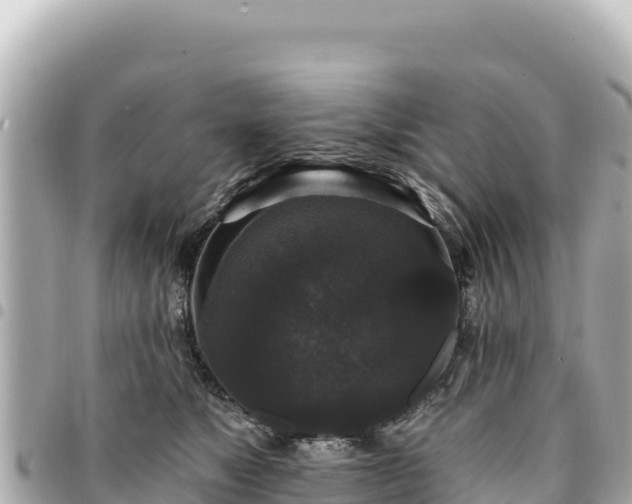 X0000095110517200712141155