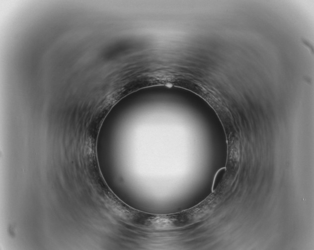 X0000095110518200712141155