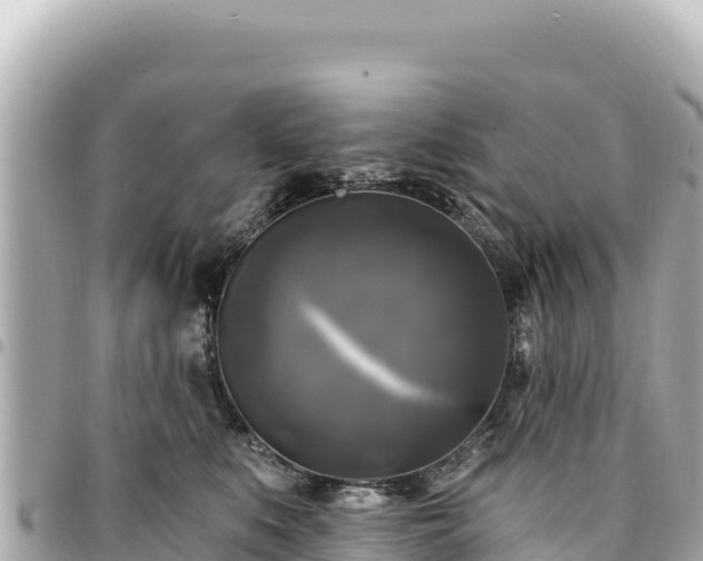 X0000095110519200712141155